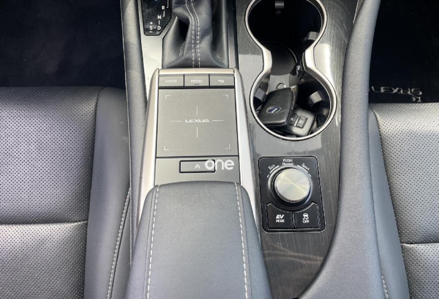 LEXUS RX 2021