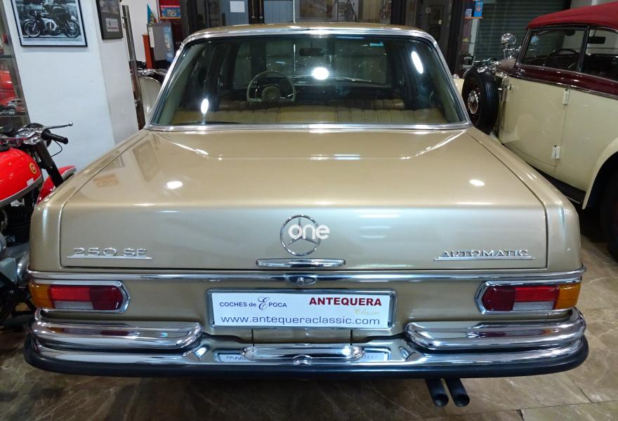 MERCEDES 250 1967