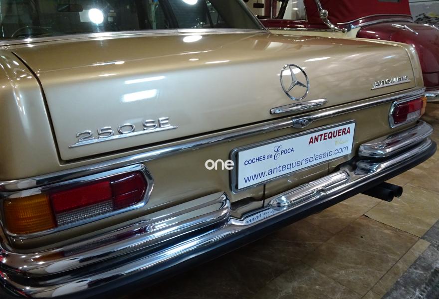 MERCEDES 250 1967
