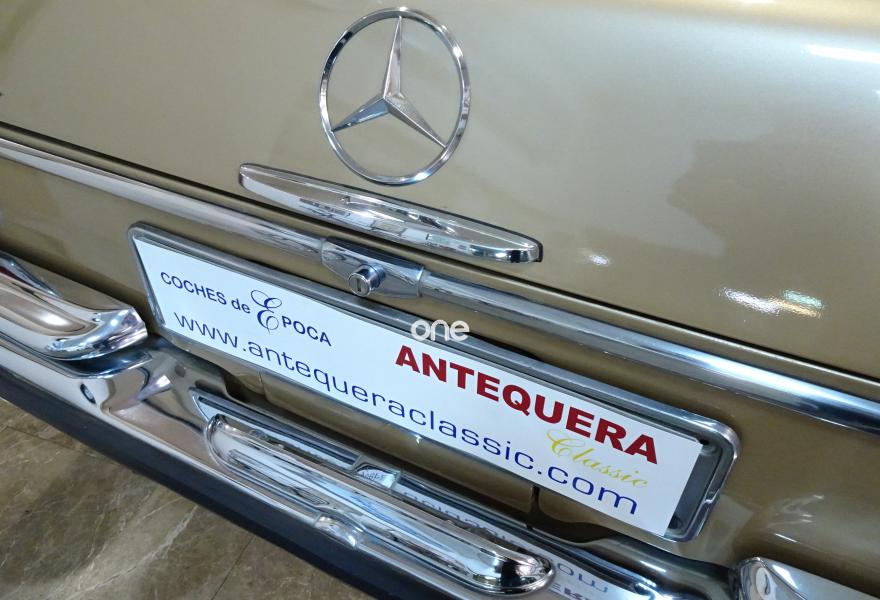 MERCEDES 250 1967