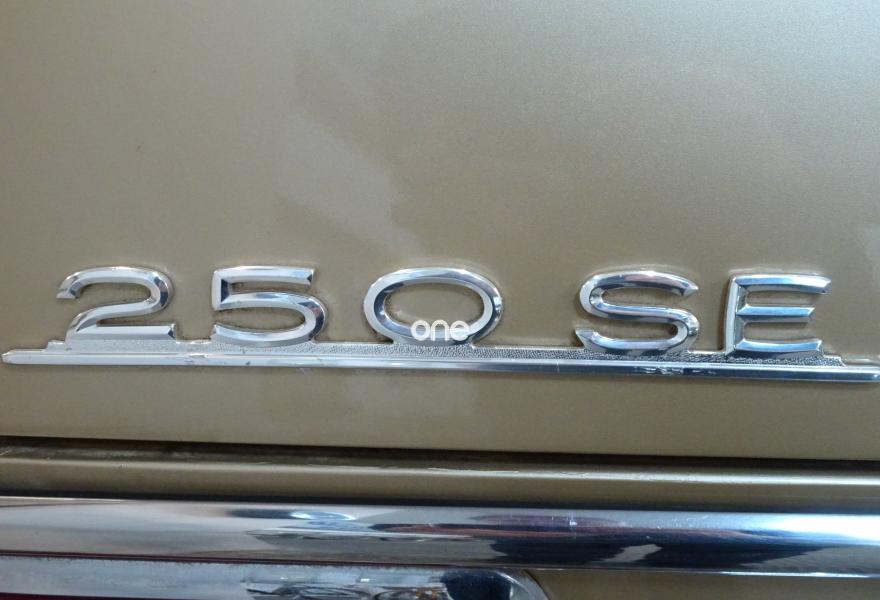 MERCEDES 250 1967