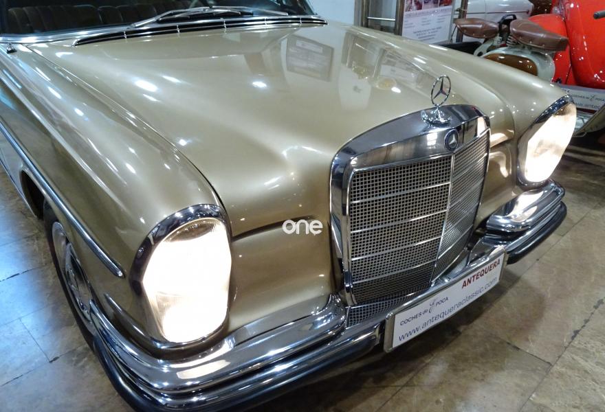 MERCEDES 250 1967