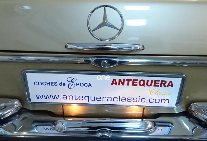 MERCEDES 250 1967