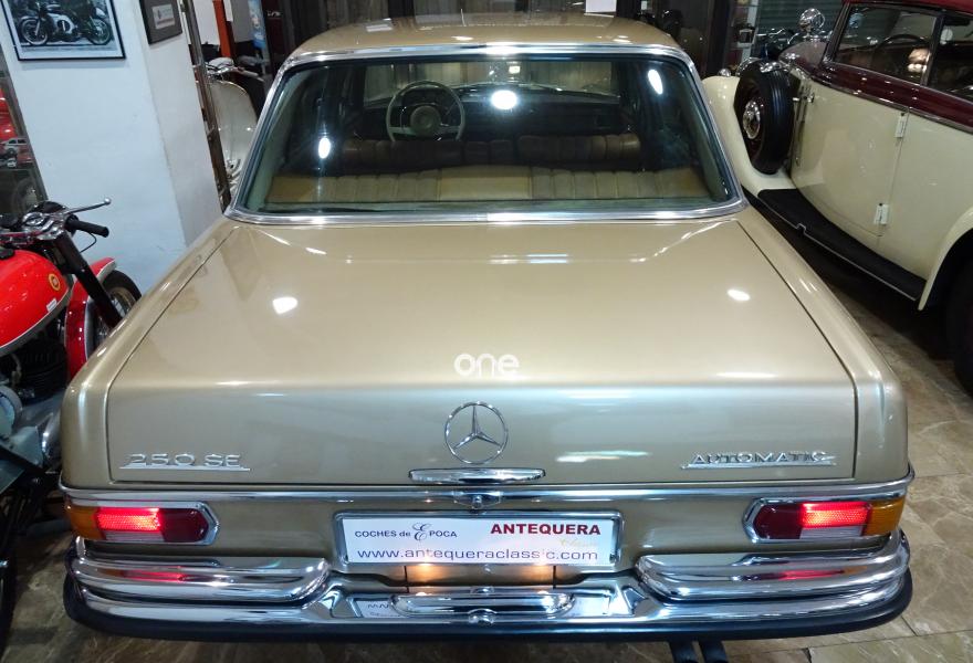 MERCEDES 250 1967