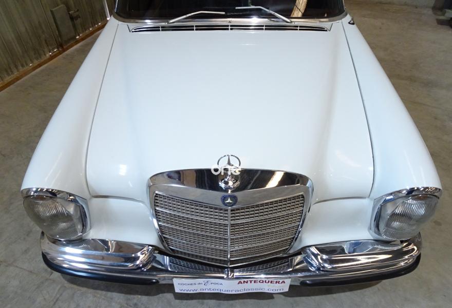 MERCEDES 280 1969